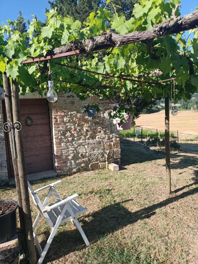 Agriturismo Podere La Selva Serre Di Rapolano Exterior foto