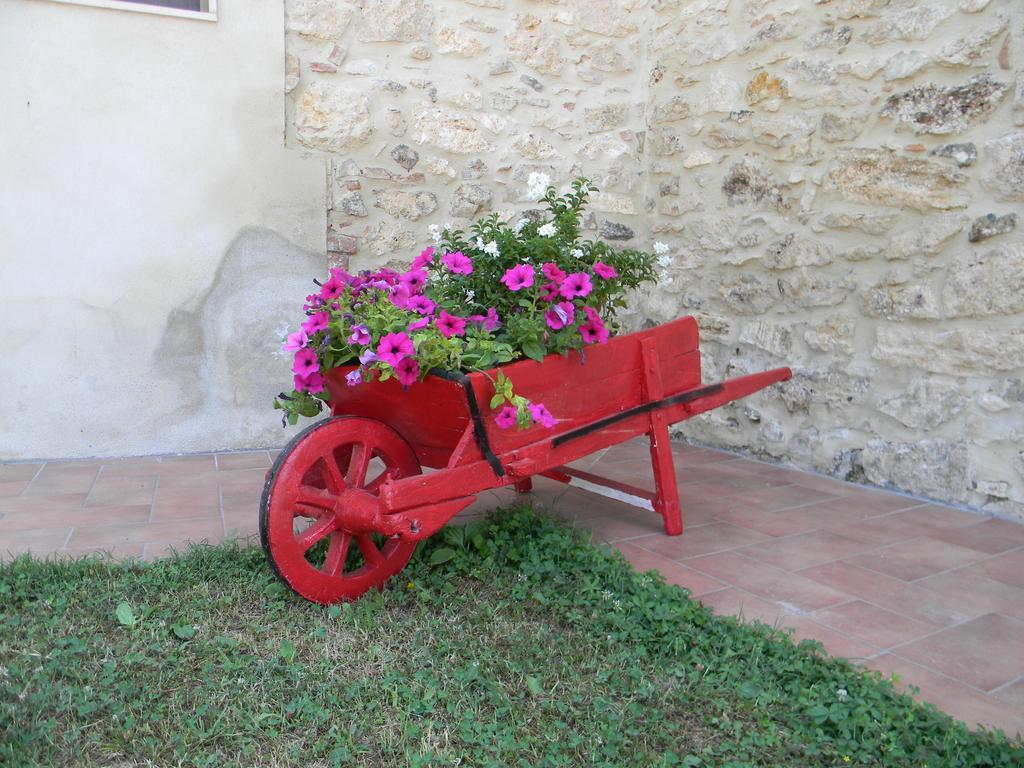 Agriturismo Podere La Selva Serre Di Rapolano Exterior foto