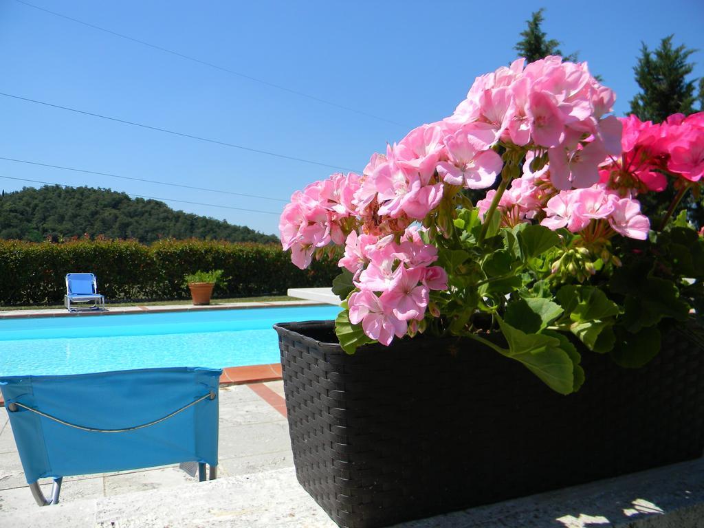 Agriturismo Podere La Selva Serre Di Rapolano Exterior foto