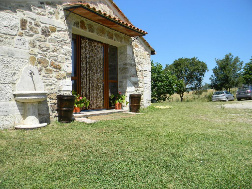 Agriturismo Podere La Selva Serre Di Rapolano Exterior foto