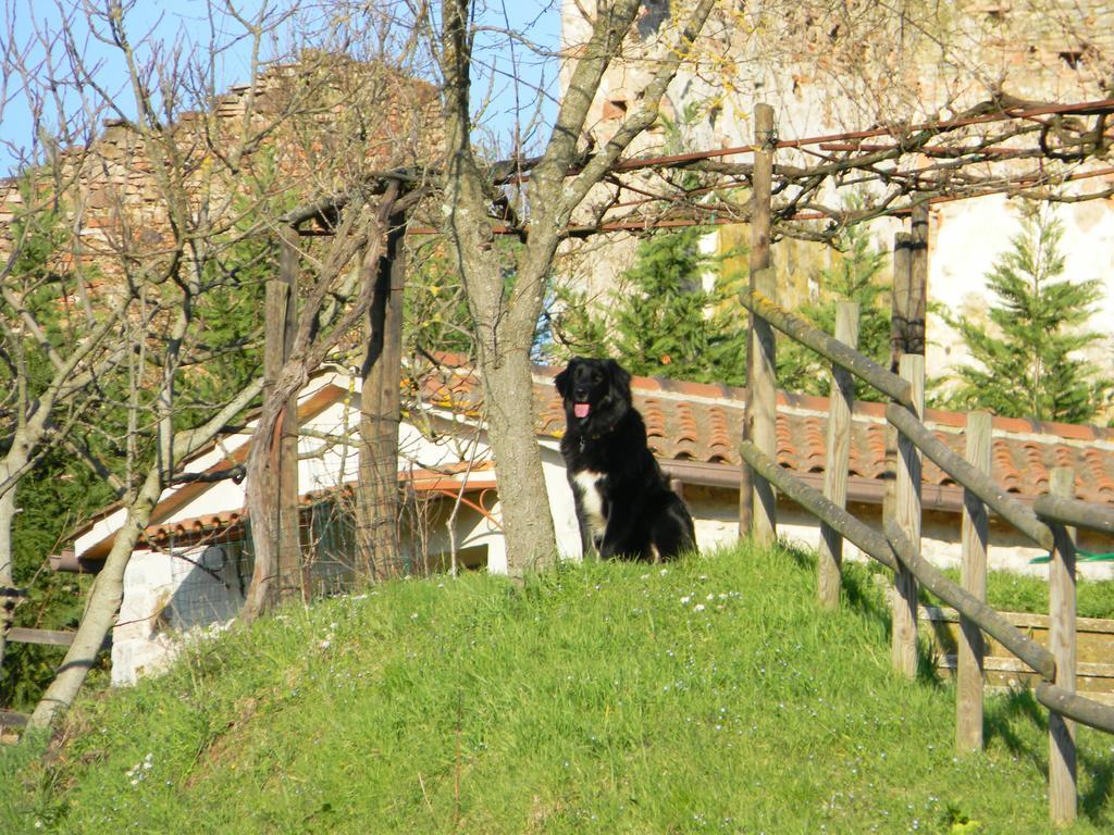 Agriturismo Podere La Selva Serre Di Rapolano Exterior foto