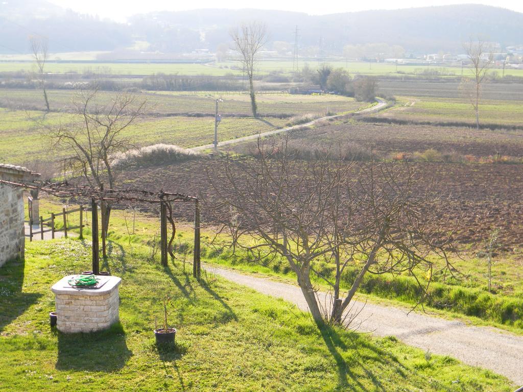 Agriturismo Podere La Selva Serre Di Rapolano Exterior foto