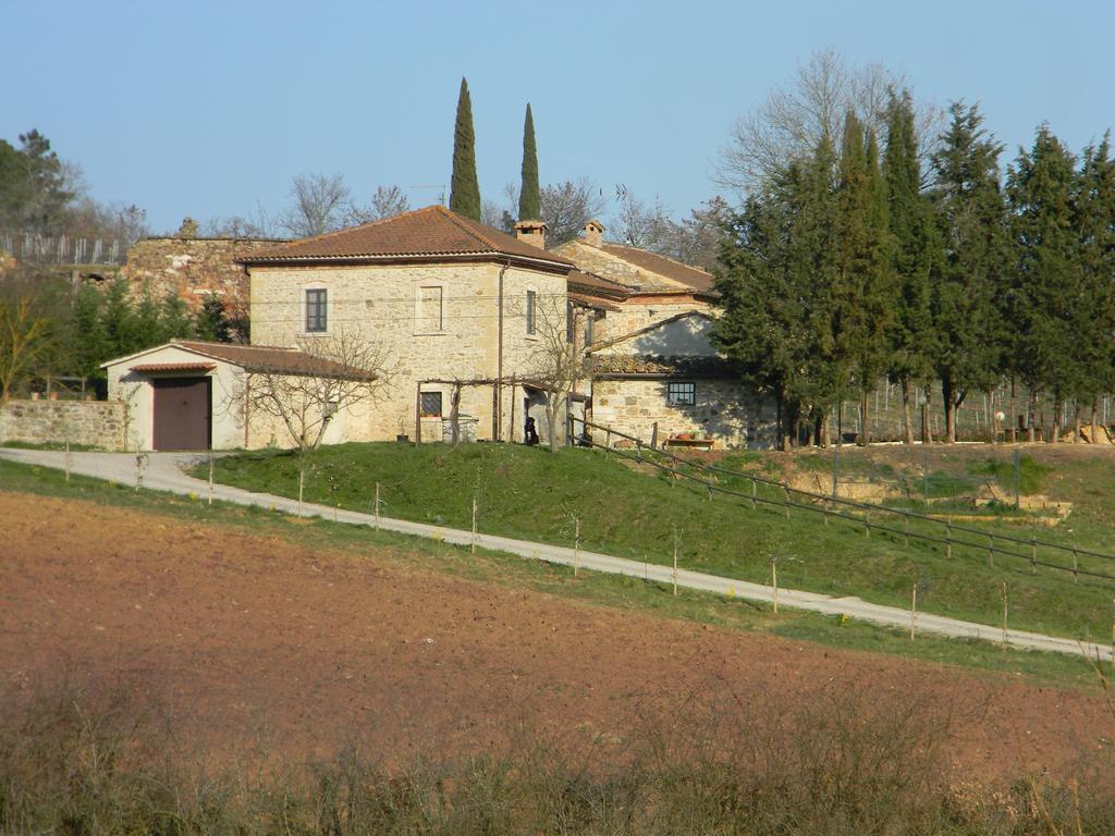 Agriturismo Podere La Selva Serre Di Rapolano Exterior foto