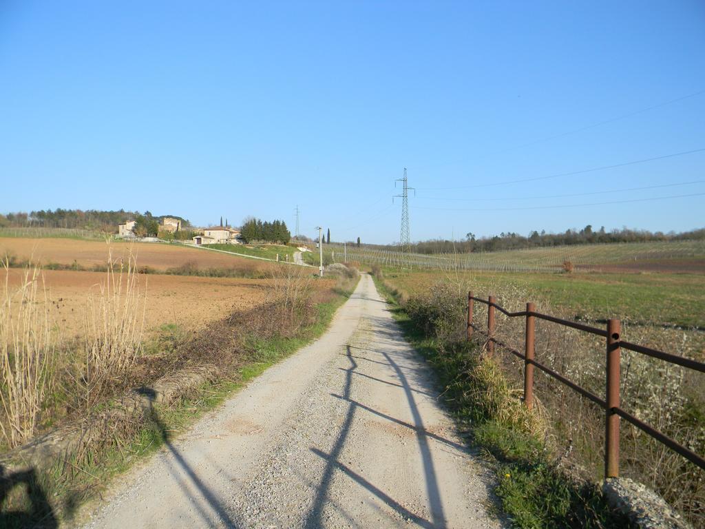 Agriturismo Podere La Selva Serre Di Rapolano Exterior foto