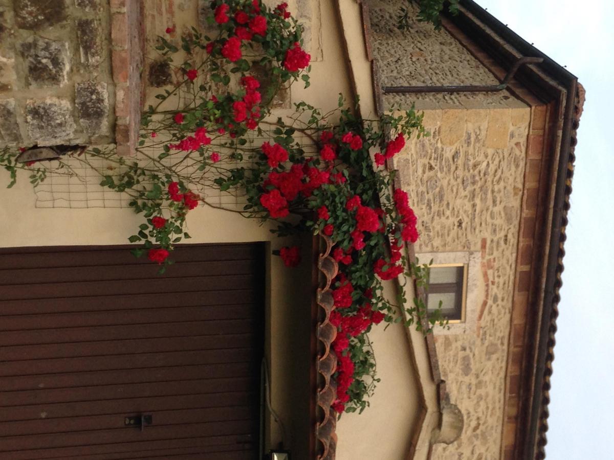 Agriturismo Podere La Selva Serre Di Rapolano Exterior foto